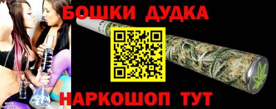 спиды Кингисепп