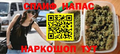 спиды Кингисепп