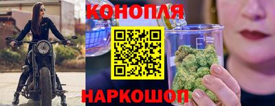 спиды Кингисепп