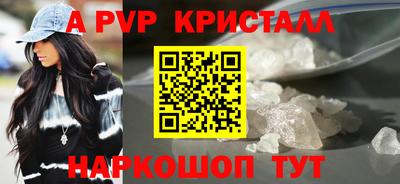 спиды Кингисепп