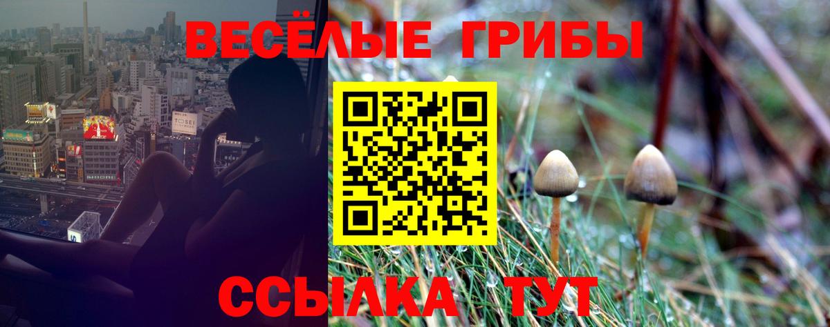 Галлюциногенные грибы MAGIC MUSHROOMS Жигулёвск